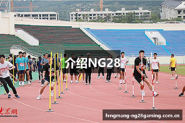 介绍NG28